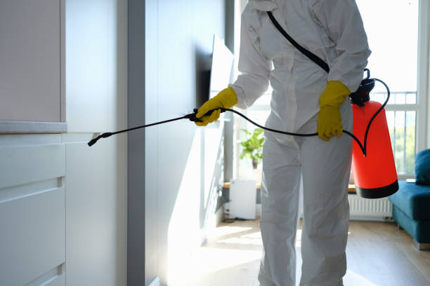 Professional Mold Removal in Bealeton, VA